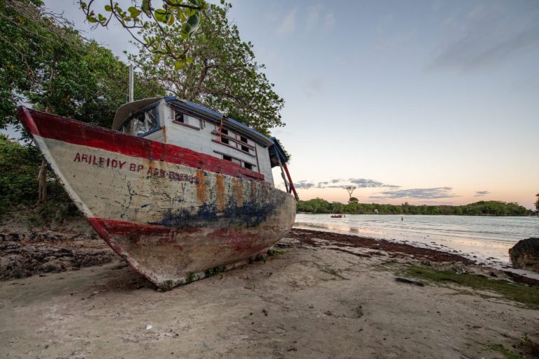 barcos